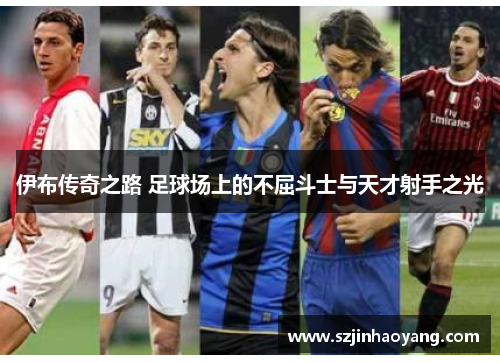 伊布传奇之路 足球场上的不屈斗士与天才射手之光