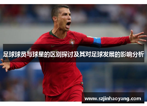 足球球员与球星的区别探讨及其对足球发展的影响分析