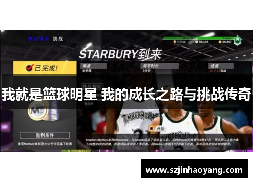 我就是篮球明星 我的成长之路与挑战传奇